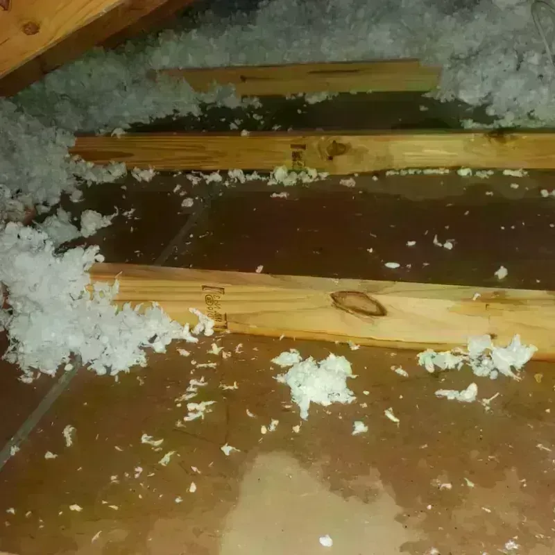 Attic Water Damage in Coal Hill, AR